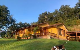 La Peñona, Carancos38, Nava